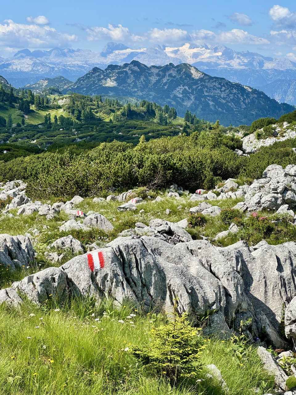 Markierung nach Markierung